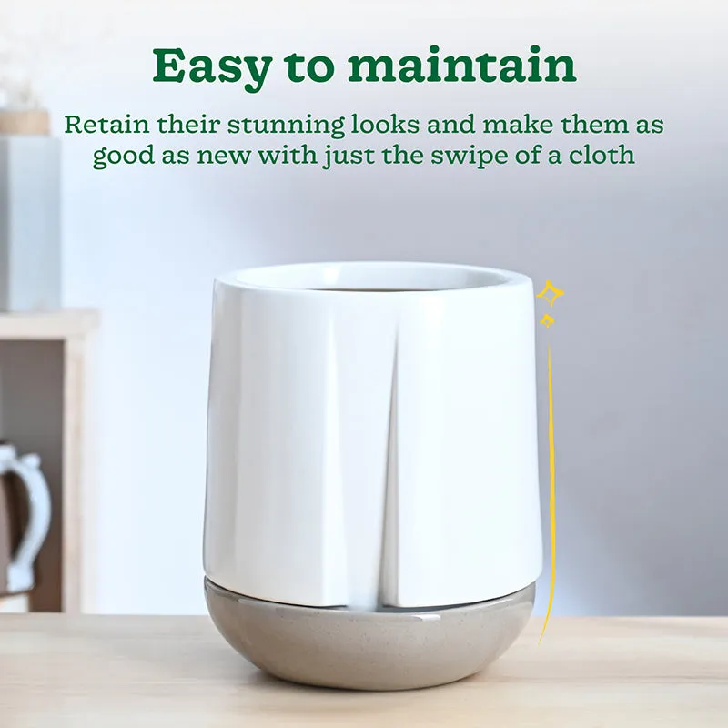 Ugaoo Duke of Drainage Ceramic Planter - White media 4