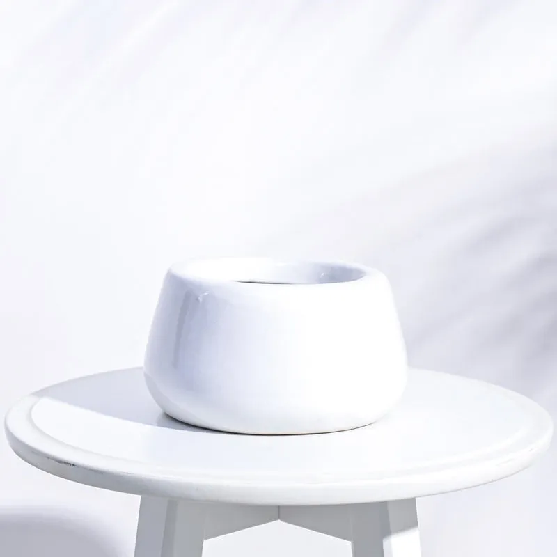 Ugaoo Tulip Fantasy 6031 White Ceramic Pot media 1