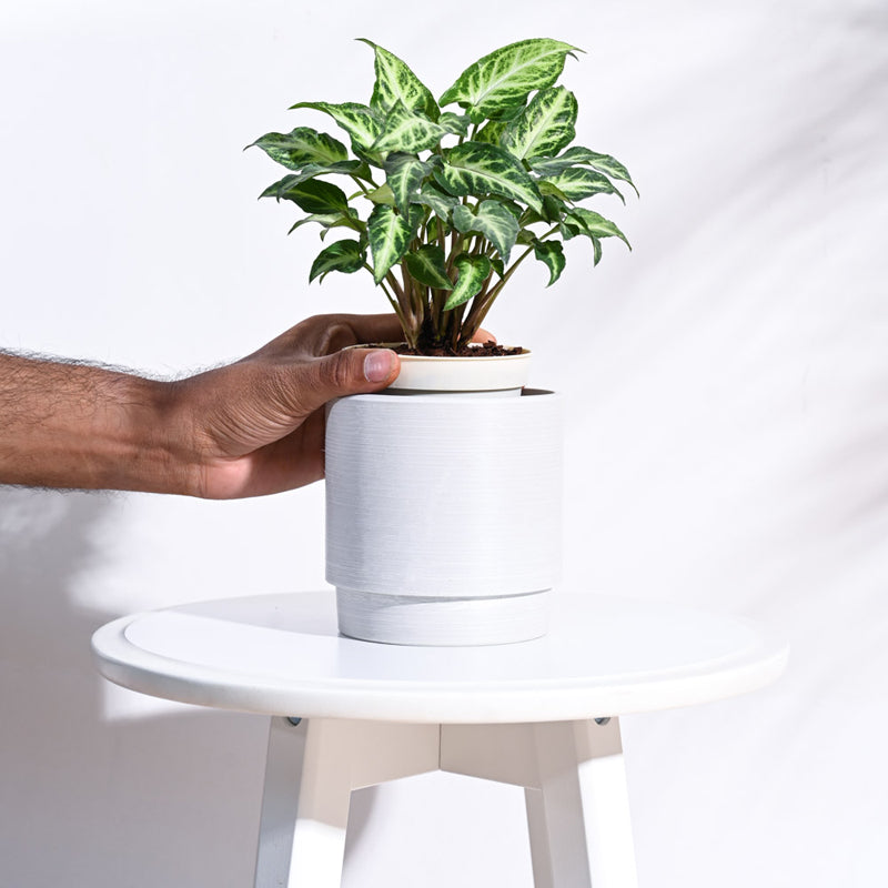 UGAOO Oslo Planter for Home & Balcony Garden- White media 5