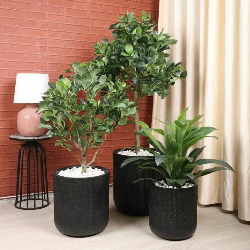 Three black ribbed planters with plants arranged in a warm indoor setting.