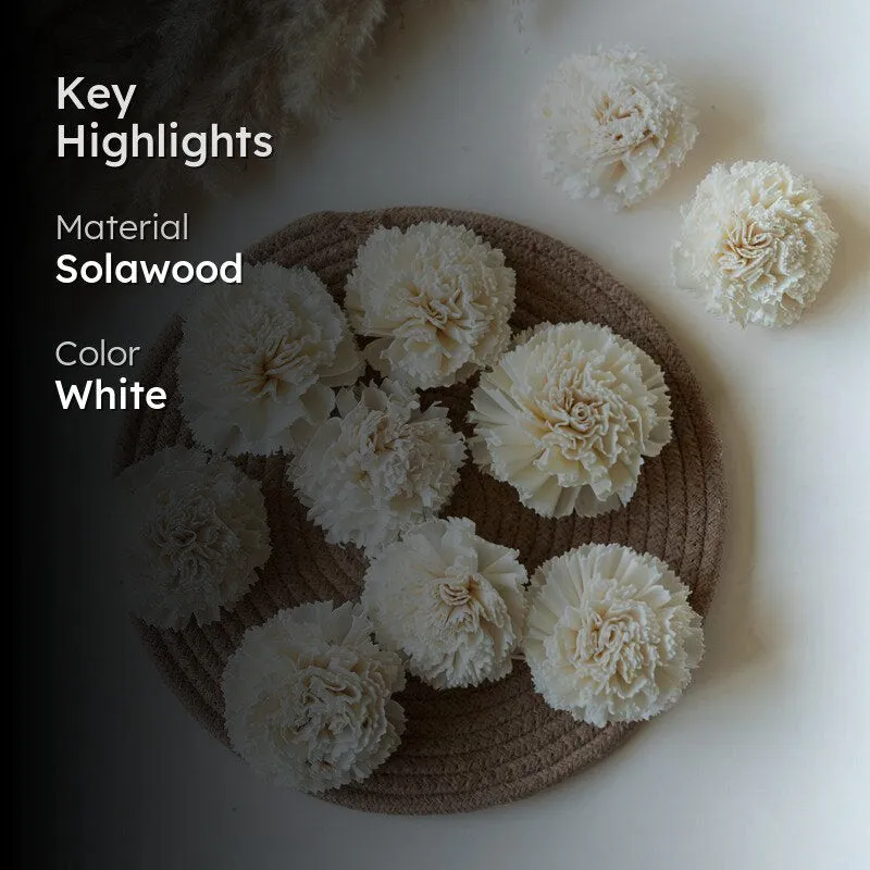 Berta Carnation Sola Flower (White) - Set Of Ten media 2