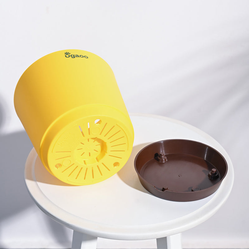 Ugaoo Mossy Bottom Plastic Planter (Yellow) - Set Of Five media 3