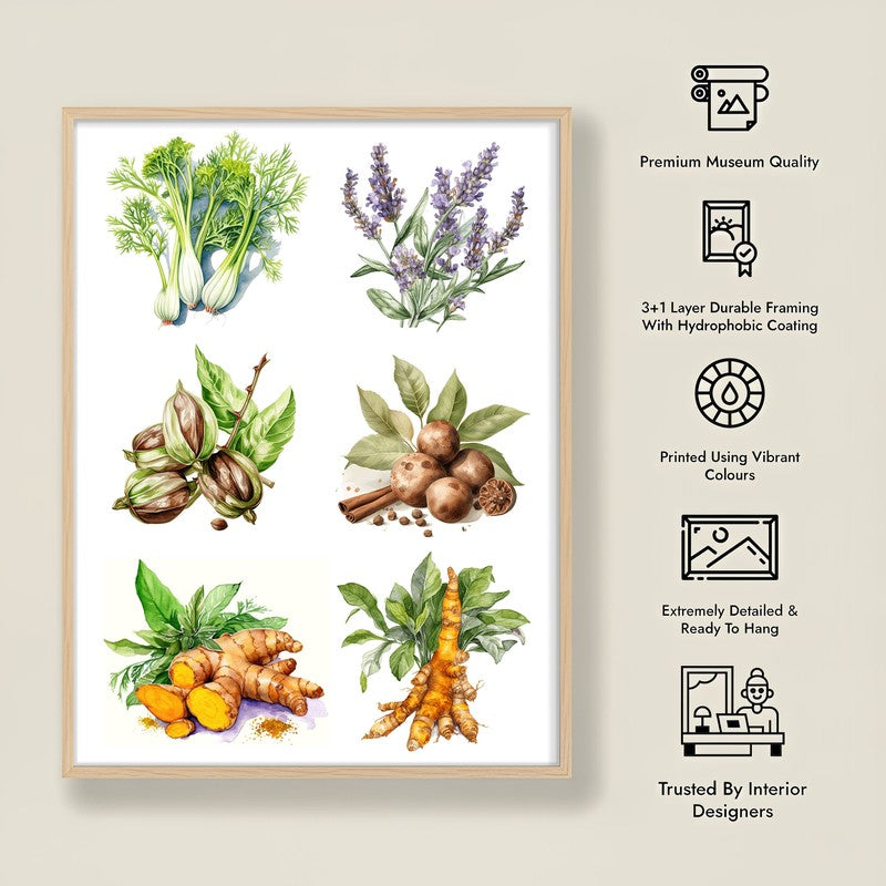 Garden Of Herbs Framed Canvas Archival Canvas Wall Painting - Natural Brown Frame media 7