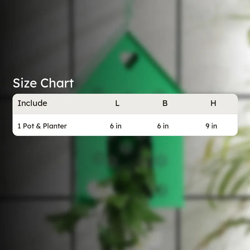 Hello Birds Green Birdhouse- Green media 5