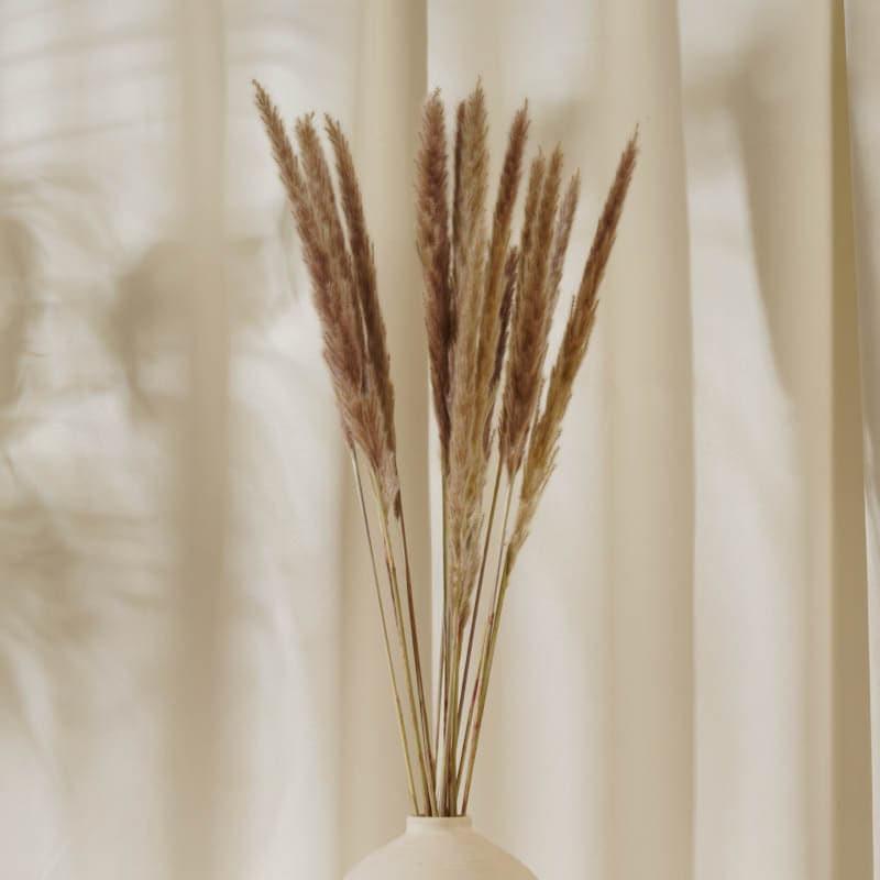 Natural Fiber