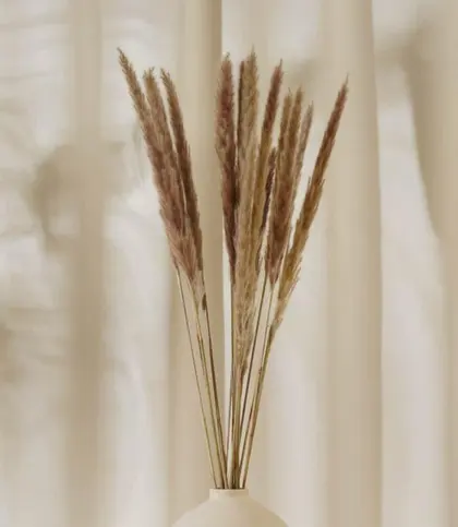 Natural Fiber