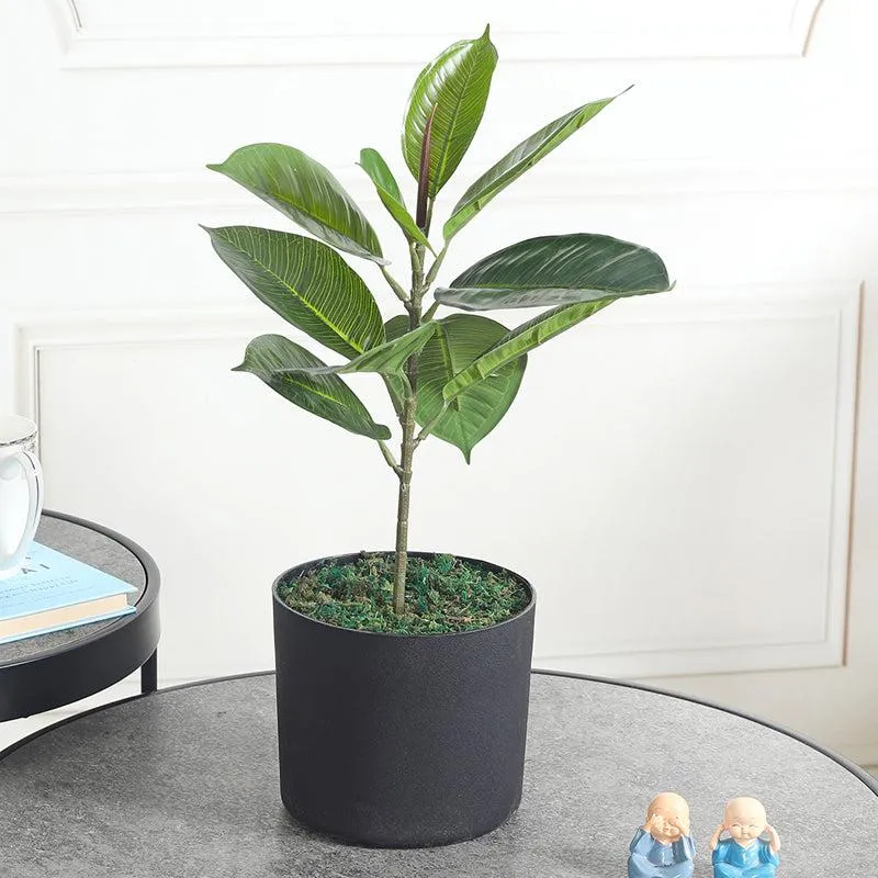 Foliage Finesse Artificial Plant With Black Plastic Pot media 2