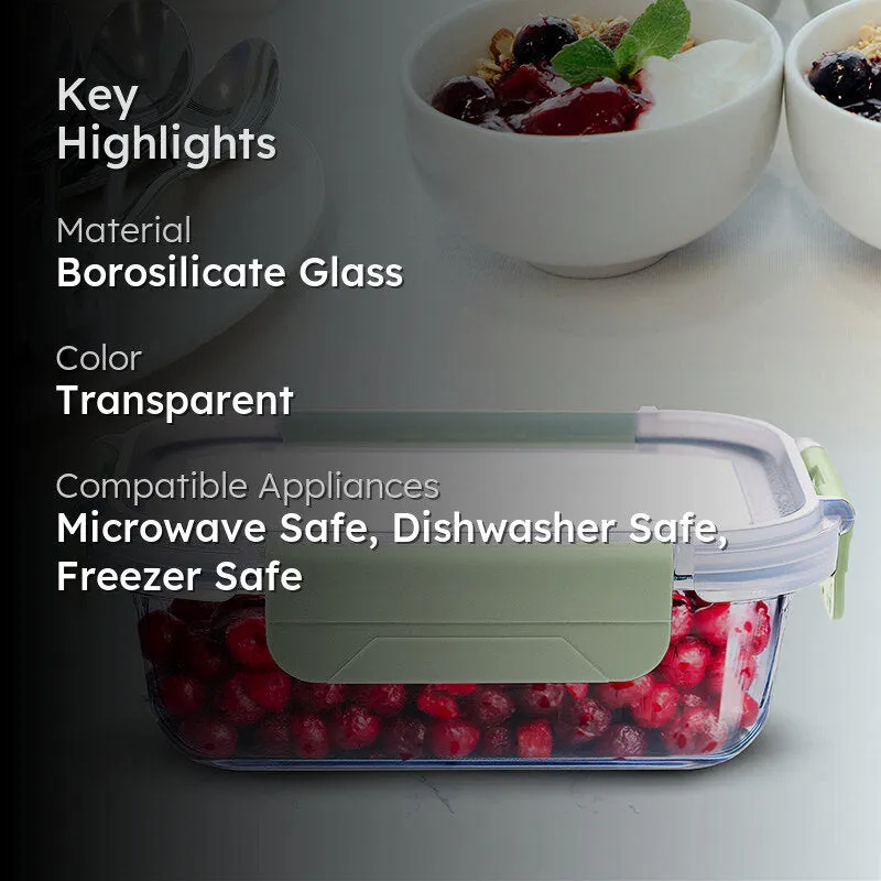 Key highlights graphic showing a transparent glass tiffin box with green lid