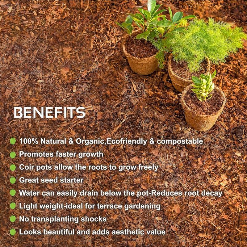 Alsa Coir Pot - Set Of Five media 4