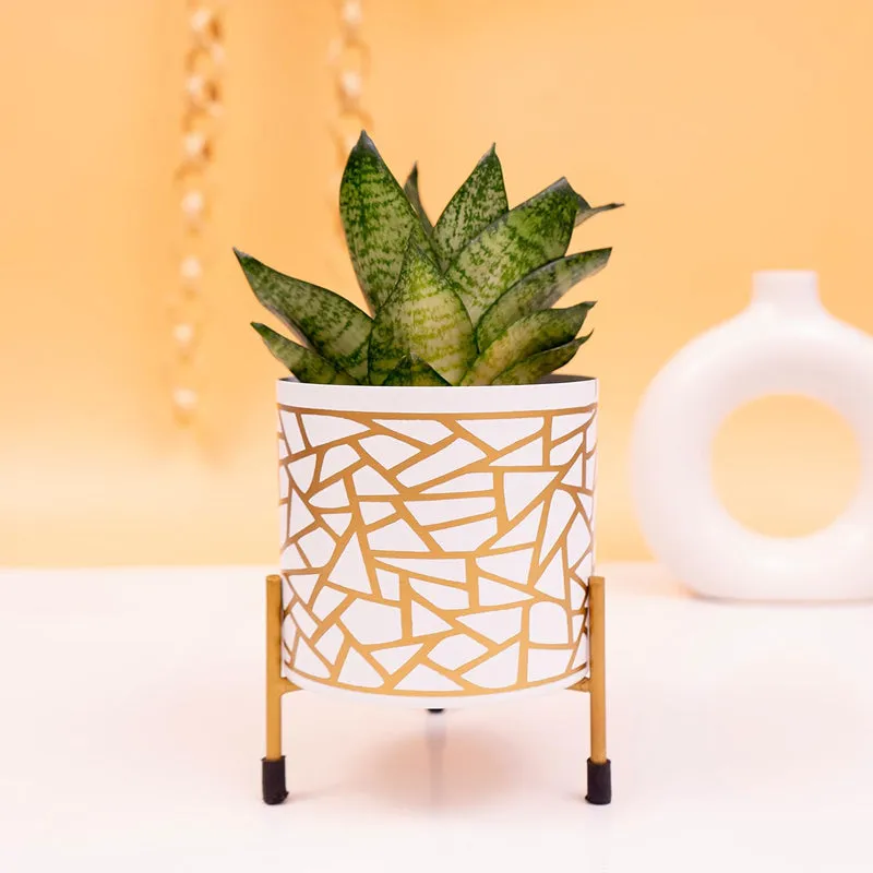 Kyari Geometric Trichome Metal Planter With Stand media 2