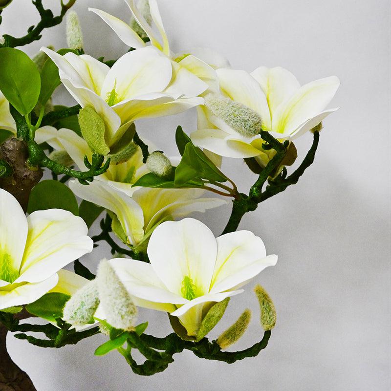 Magnira Artificial Mini Magnolia Tree With Black Plastic Pot (White & Green) - 50 cm media 4