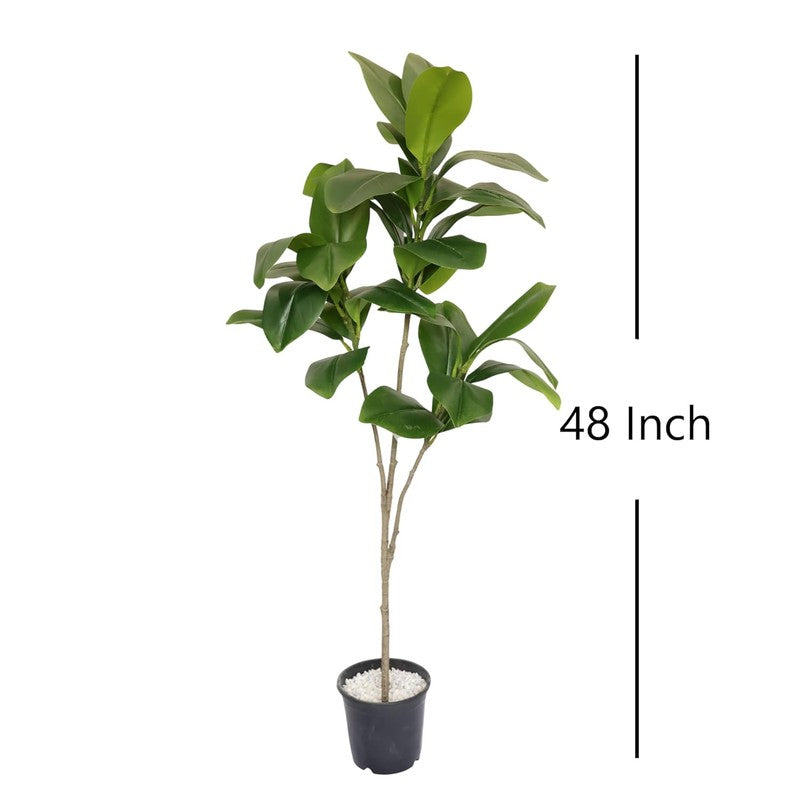 Bloomora Artificial Fiddle Fig Plant With Black Plastic Pot - 3.1 Feet media 7