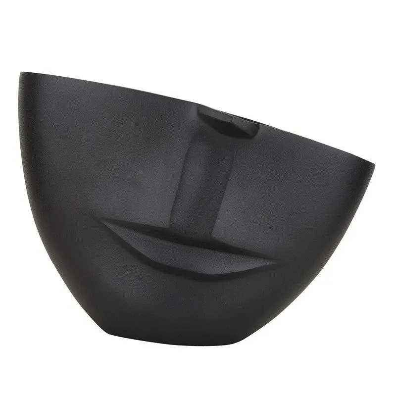The amused Face Vase media 3