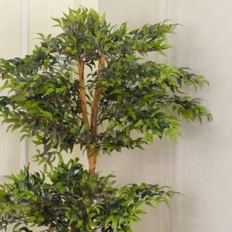 Artificial Ruscus Plant Without Pot - 6.2 Feet media 5