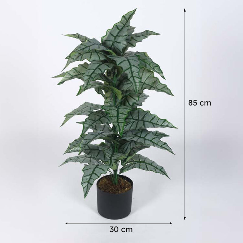 Faux Lush Happy Philo Plant With Black Plastic Pot - 2.8 Feet media 8