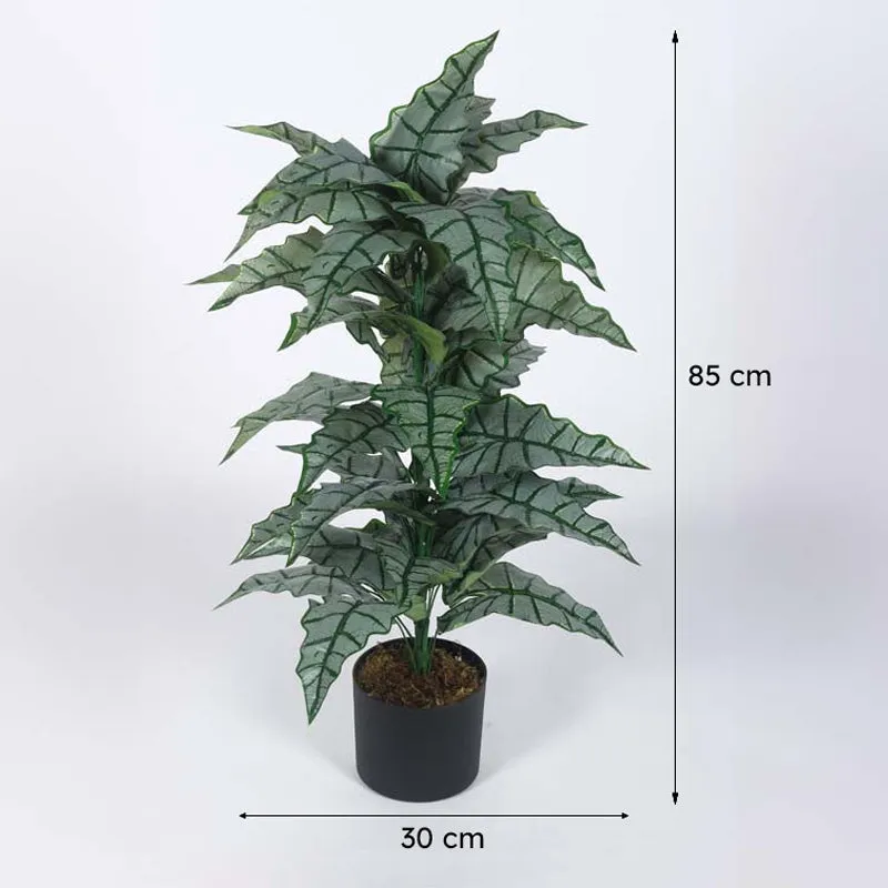 Faux Lush Happy Philo Plant With Black Plastic Pot - 2.8 Feet media 8