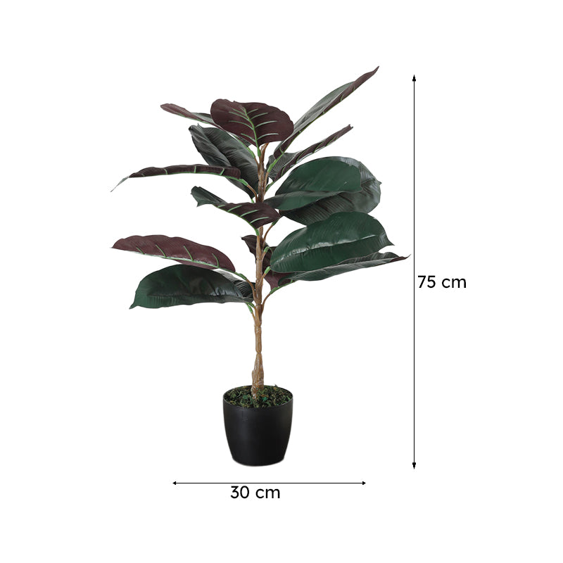 Faux Red Rubber Plant With Black Plastic Pot - 2.46 ft media 6