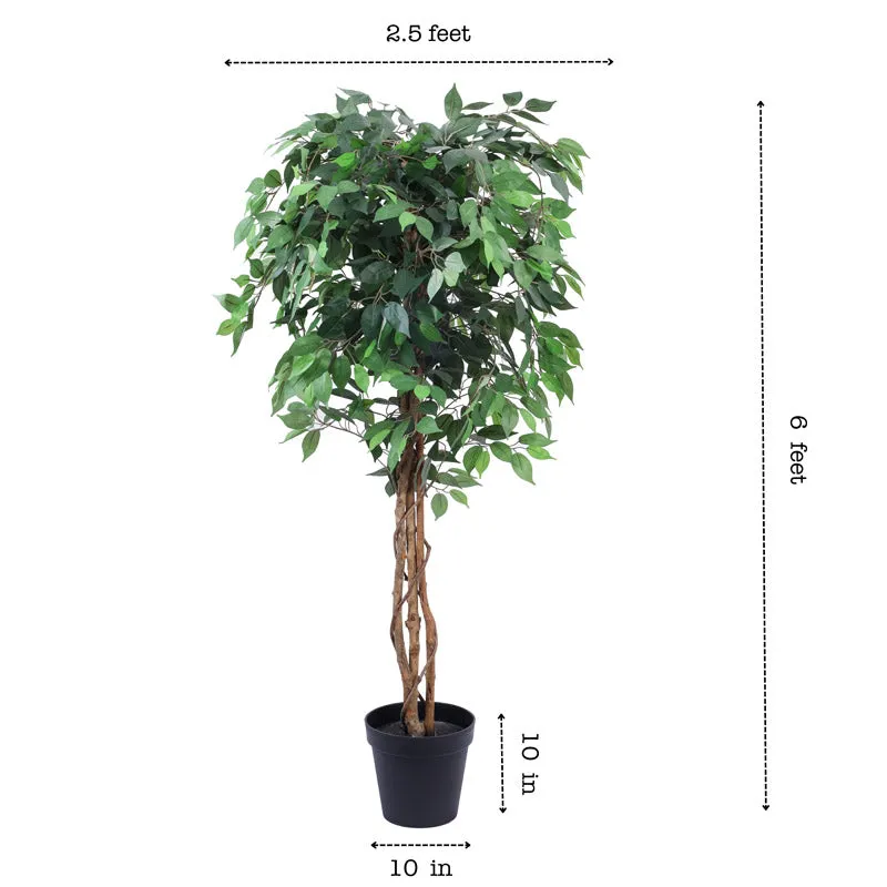 Artificial Realistic Ficus Plant With Black Plastic Pot - 5.9 Feet media 8