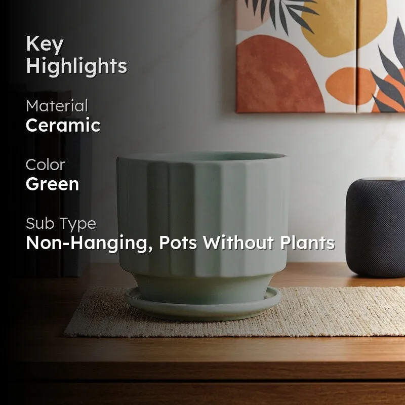 Mint green ribbed ceramic planter with text overlay of key highlights