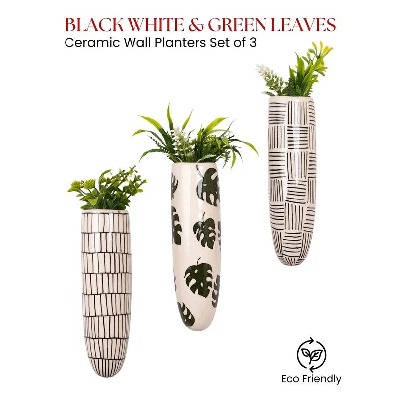 Zenvira Ceramic Planters - Set Of Three media 4