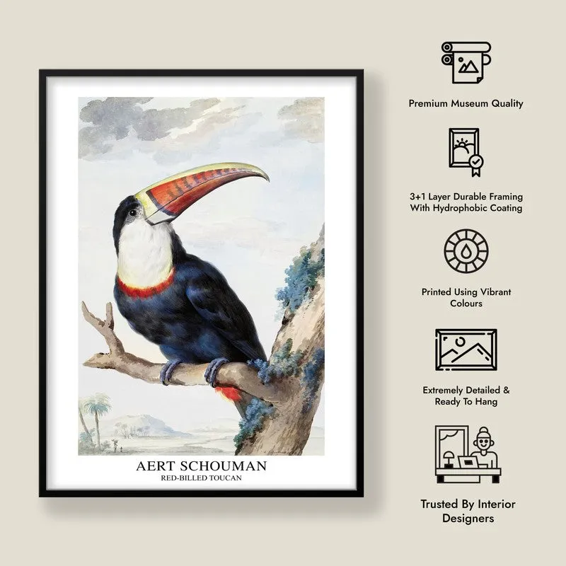 Red Billed Toucan Aert Schouman Archival Canvas Wall Painting - Black Frame media 8