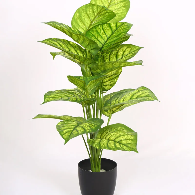 Calena Artificial Caladium With Black Plastic Pot - Green media 5