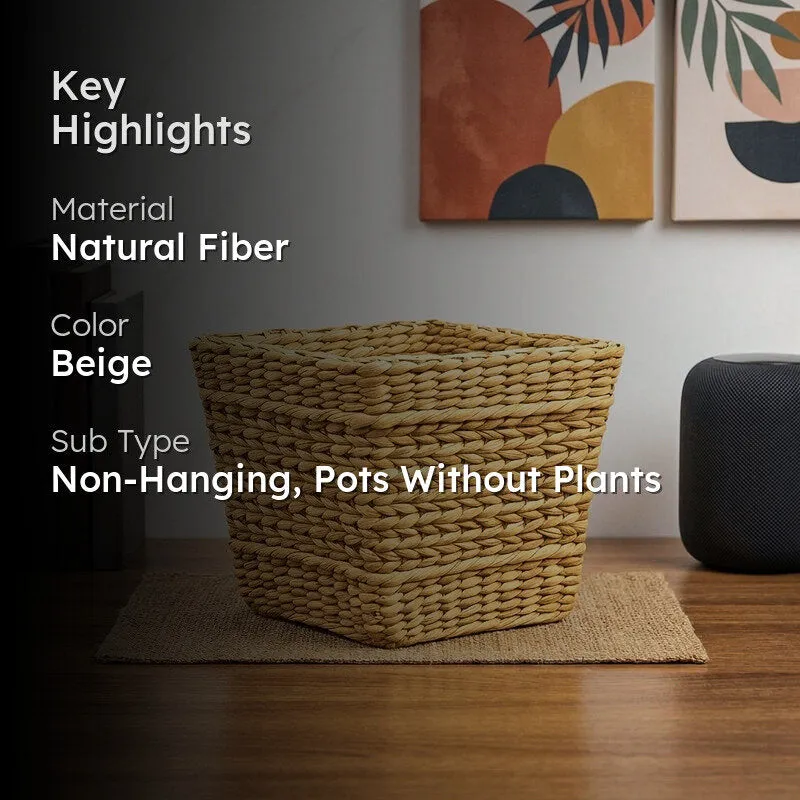 Ugaoo Seagrass Planter - 22 CM media 2