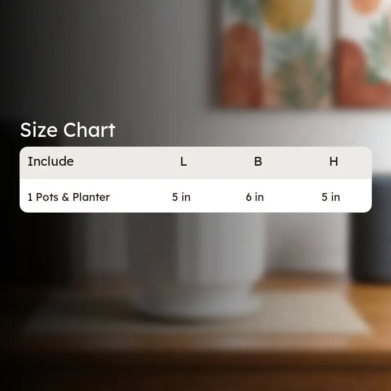 Lexie Ceramic Planter - White media 8