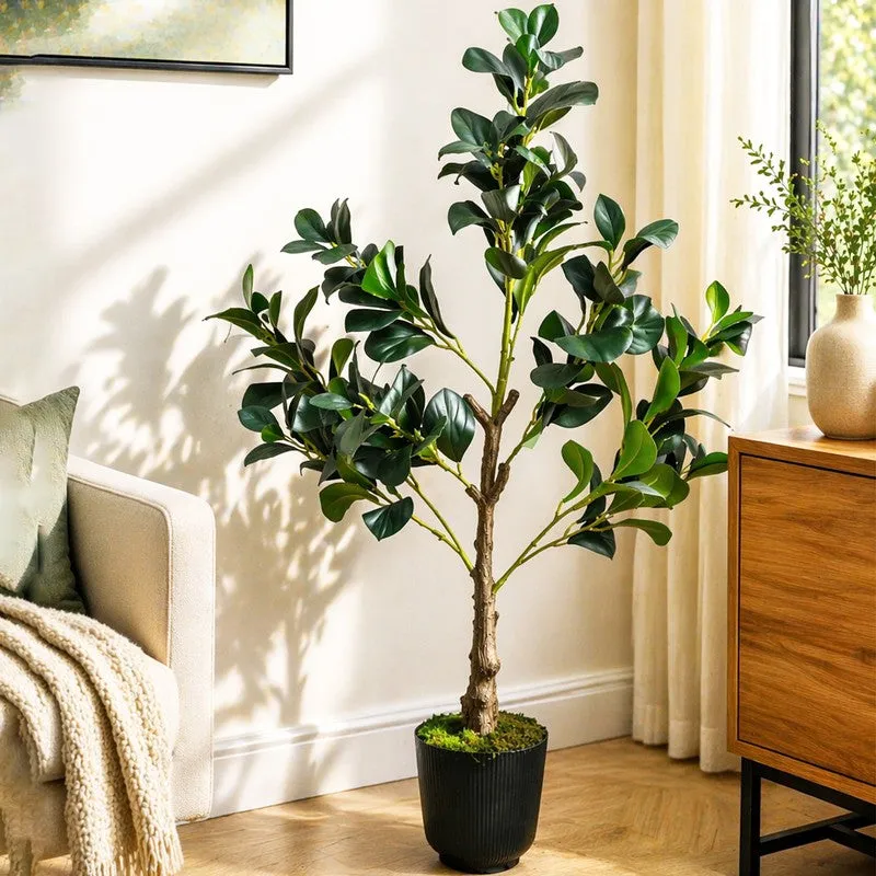 EverGreen Ficus Artificial Plant With Black Plastic Pot - 91 cm (3 ft) media 1