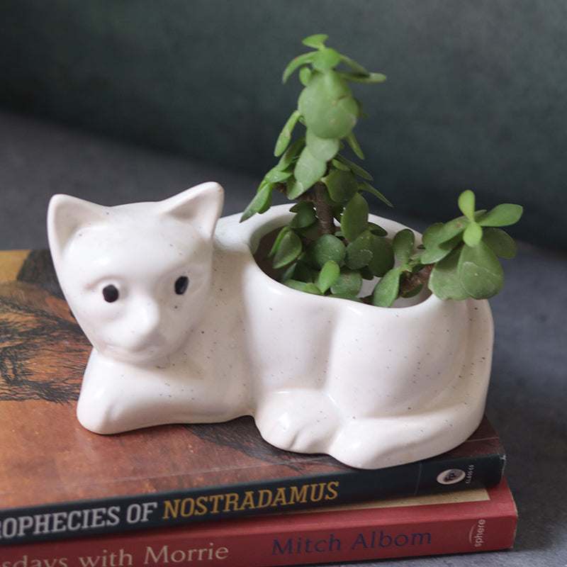 Meow Ceramic Planter media 3