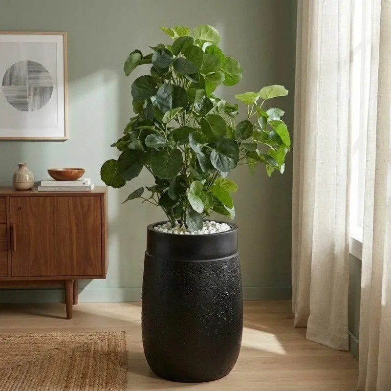 Large black floor planter holding a leafy green indoor plant