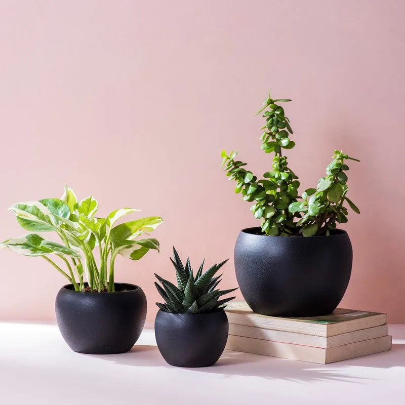 LeafNest Mild Steel Planter (Blue) - Set Of Three media 5