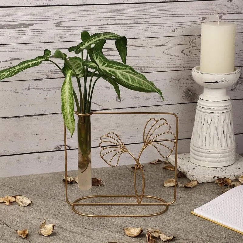 Parslii Bent Testube Planter media 1