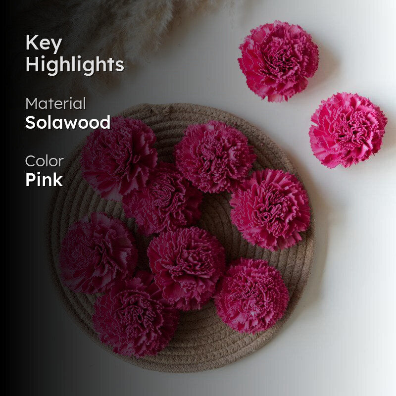 Berta Carnation Sola Flower (Pink) - Set Of Ten media 2