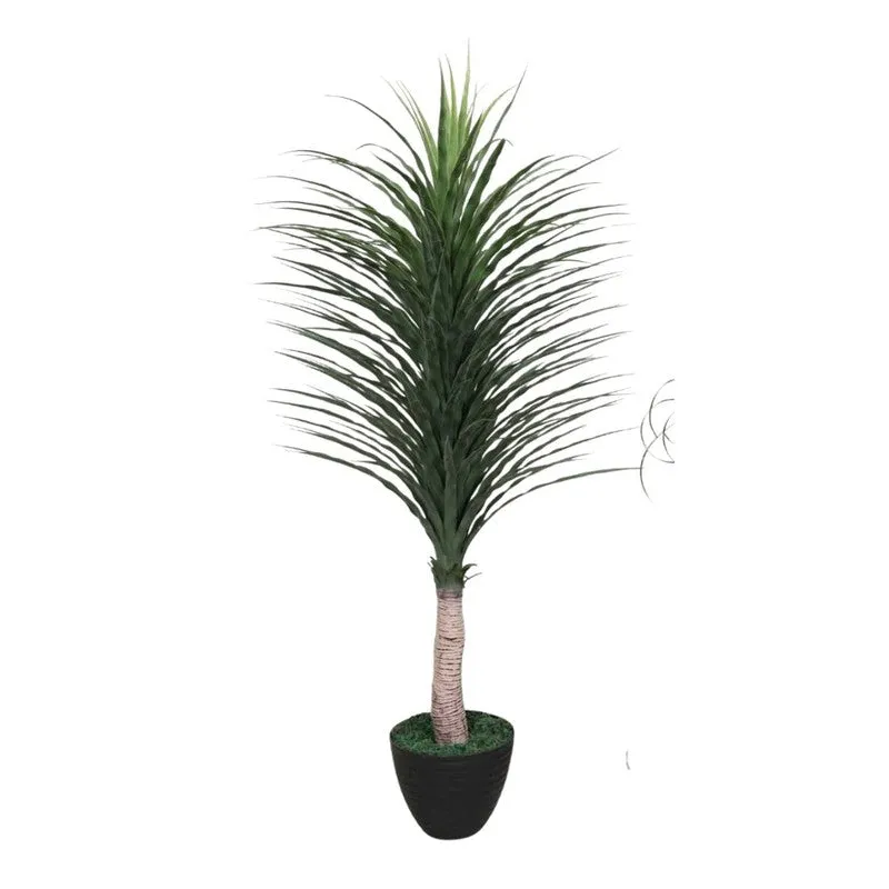 Artificial Real Touch Yucca Plant Without Pot - 5 Feet media 6