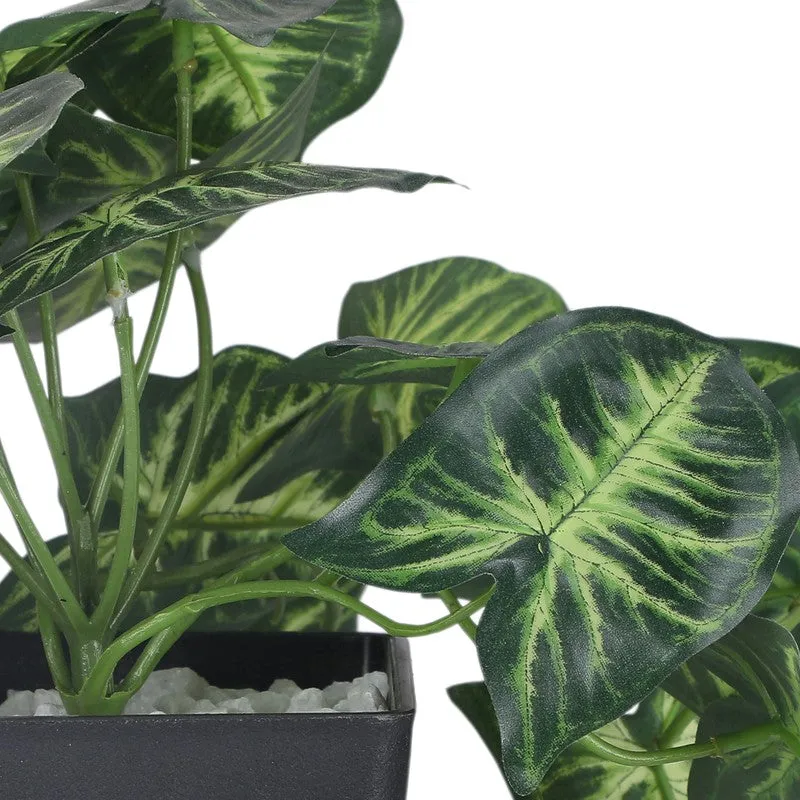 Artificial Arrowhead Plant With Black Plastic Pot media 2