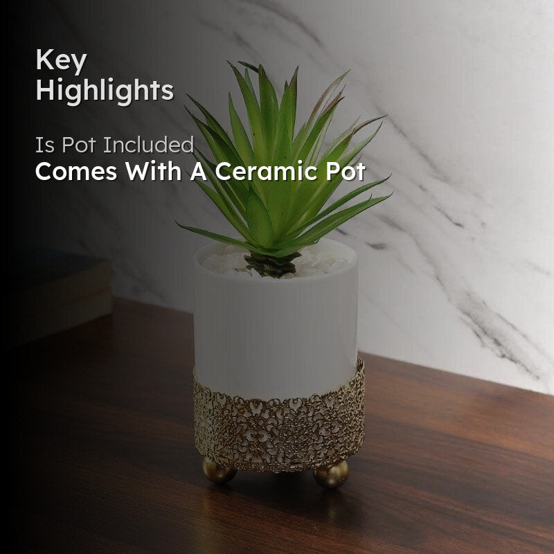 Faux Agave In Decorative Pot - 21.5 cms media 2