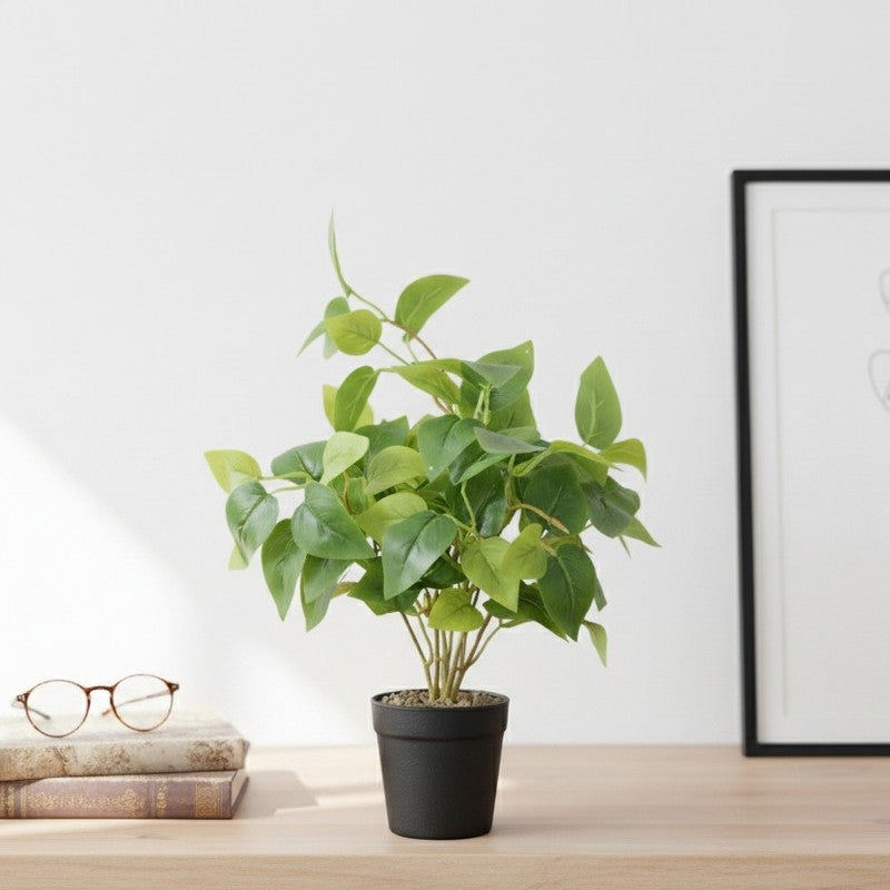 Baby Pothos I Artificial Plant With Black Fiber Pot - 1 Feet media 5
