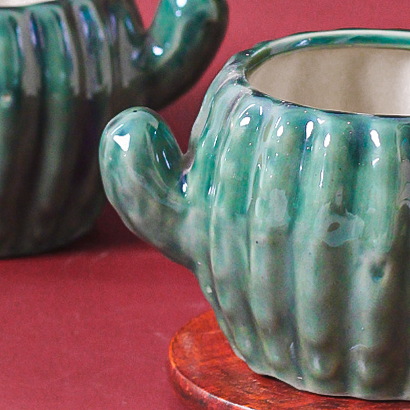 Cacti Fun Ceramic Planter media 5