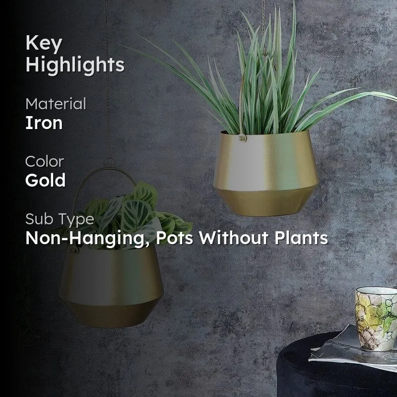 Tesho Hanging Planter - Set Of Two media 2
