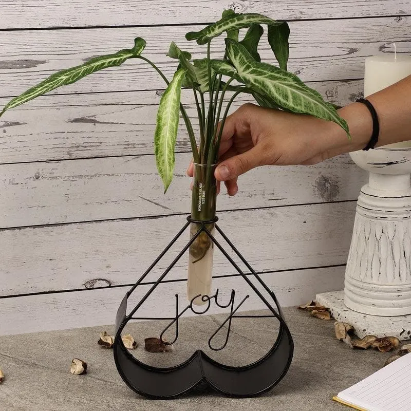 Joyfully Testube Planter media 3