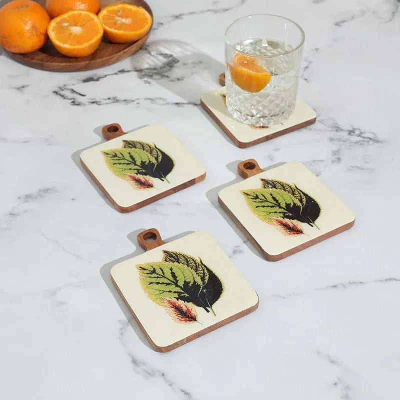 Oribelle Mangowood Coaster - Set Of Four media 1