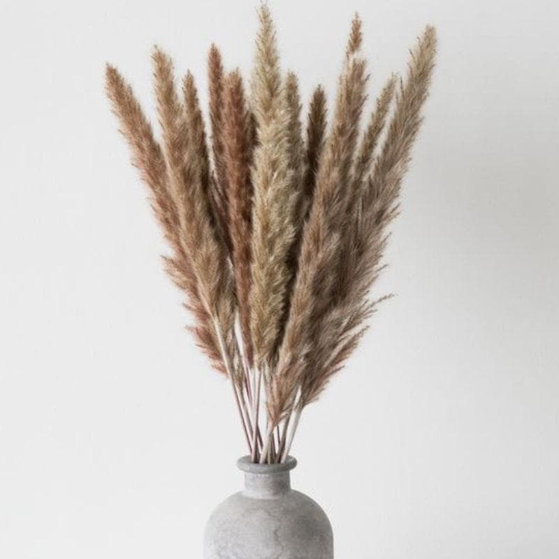 Dried Flowers & Leaves