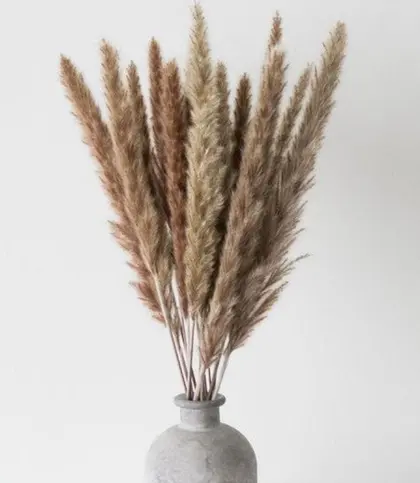 Dried Flowers & Leaves