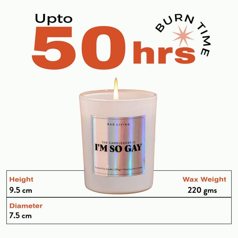 I'm So Gay Scented Candle media 7