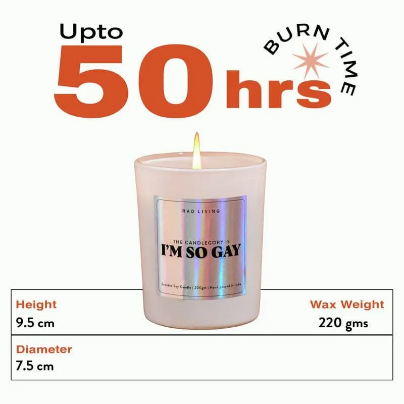 I'm So Gay Scented Candle media 7