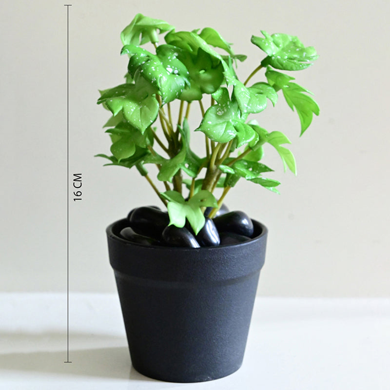 Minstera Artificial Mini Monstera Plant With Black Plastic Pot (Light Green) - 16 cm media 7