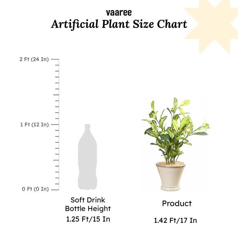 Faux Schefflera Bonsai In Cone Pot - 42 cms media 6