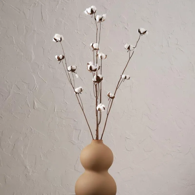 Cuzi Dried Cotton Stick (Silver) - Set Of Fifteen Pods media 3