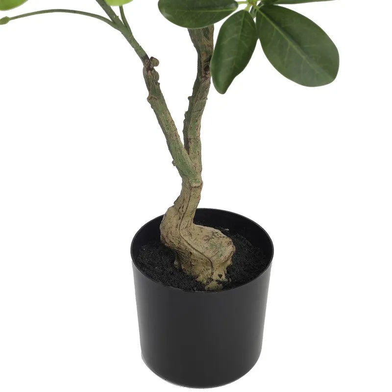 GreenAura Artificial Plant With Black Plastic Pot - 2.5 ft media 7